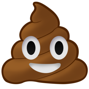 Poo